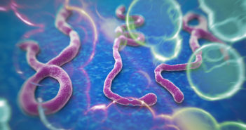 Is Corgenix Medical Corporation (OTCMKTS:CONX) an Ebola Reactive Stock?